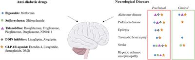 Neuroprotective Effects of Diabetes Drugs for the Treatment of Neonatal Hypoxia-Ischemia Encephalopathy